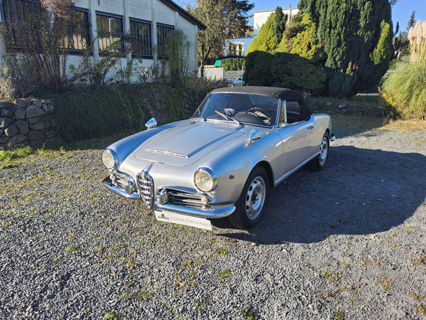 Alfa Romeo Giulia 1600 Spider (1963) - im Kundenauftrag