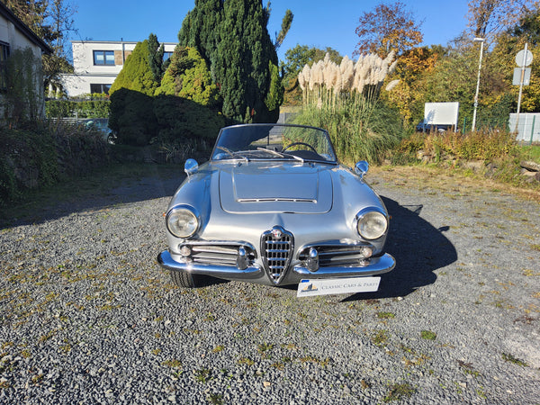 Alfa Romeo Giulia 1600 Spider (1963) - im Kundenauftrag